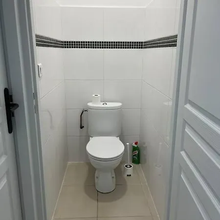 Bel Appartement A 15 Min De Lyon Saint-Fons Exterior photo